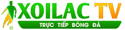 Https jilicc apk - Jl777